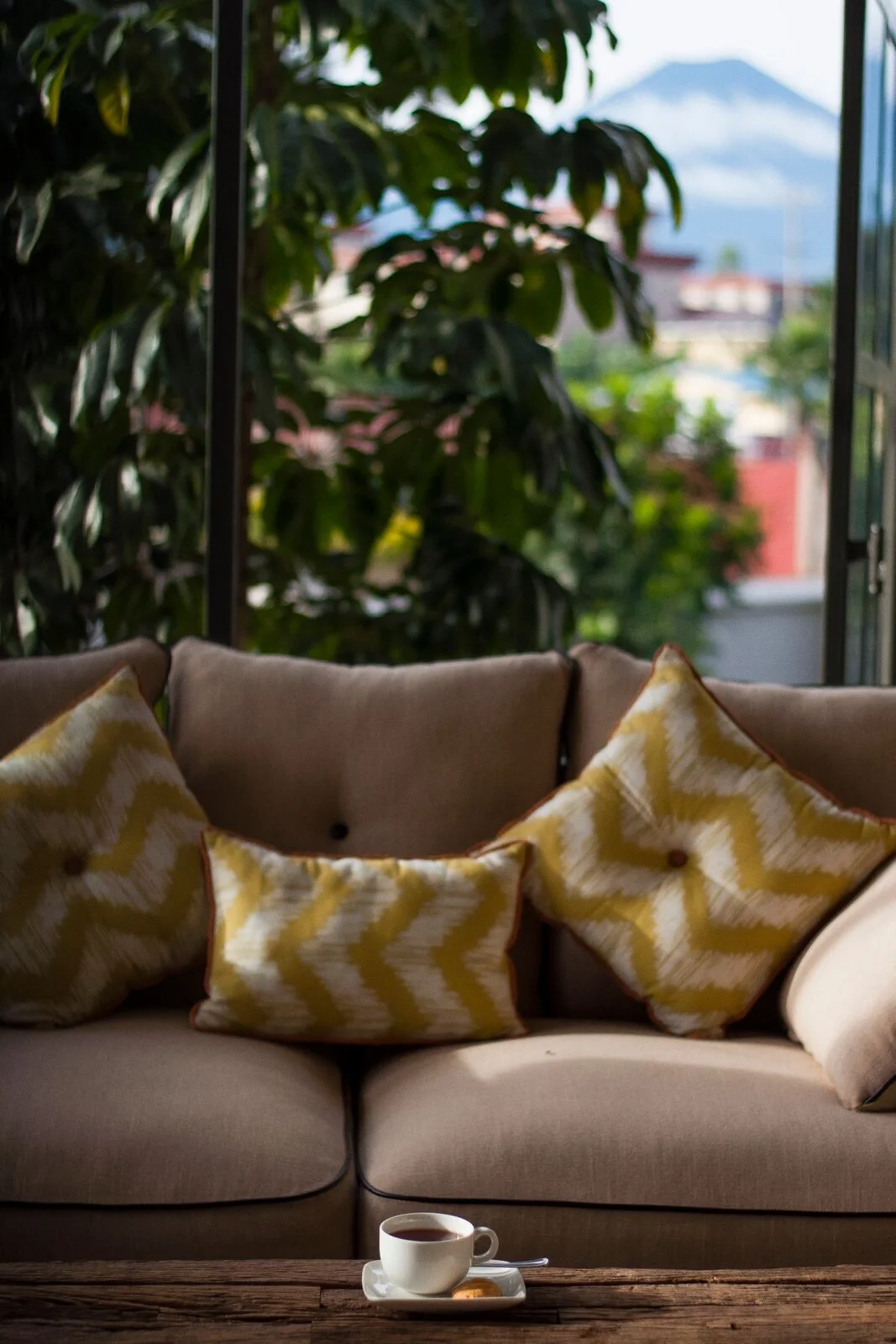 Patterned cushions, a teacup on a timber table and greenery in the sitting room at The Bishops House
