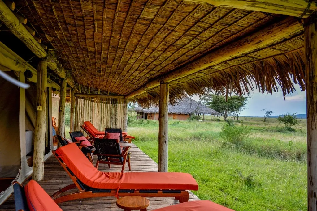 Veranda chairs overlooking the landscape — Mara Siana Tented Camp